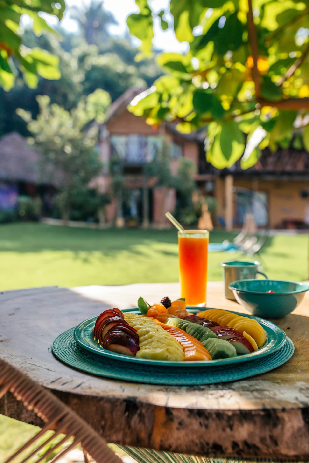 Plate of fresh fruit and orange juice in the garden