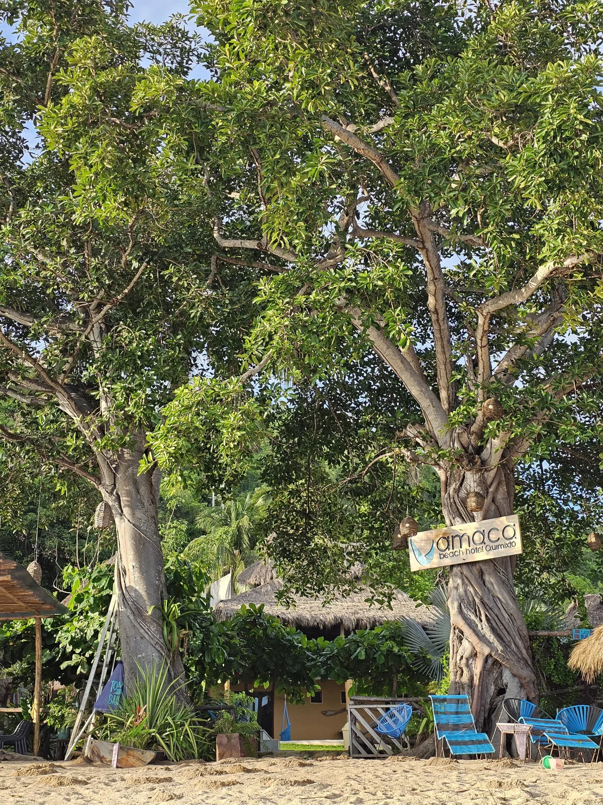 Amaca Beach sign among trees