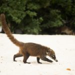 blog-5experiencias (1)