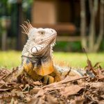 blog-5experiencias (3)