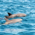 blog-5experiencias (4)